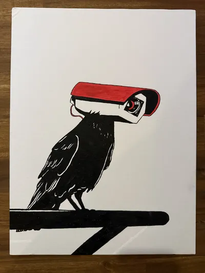 Project Raven